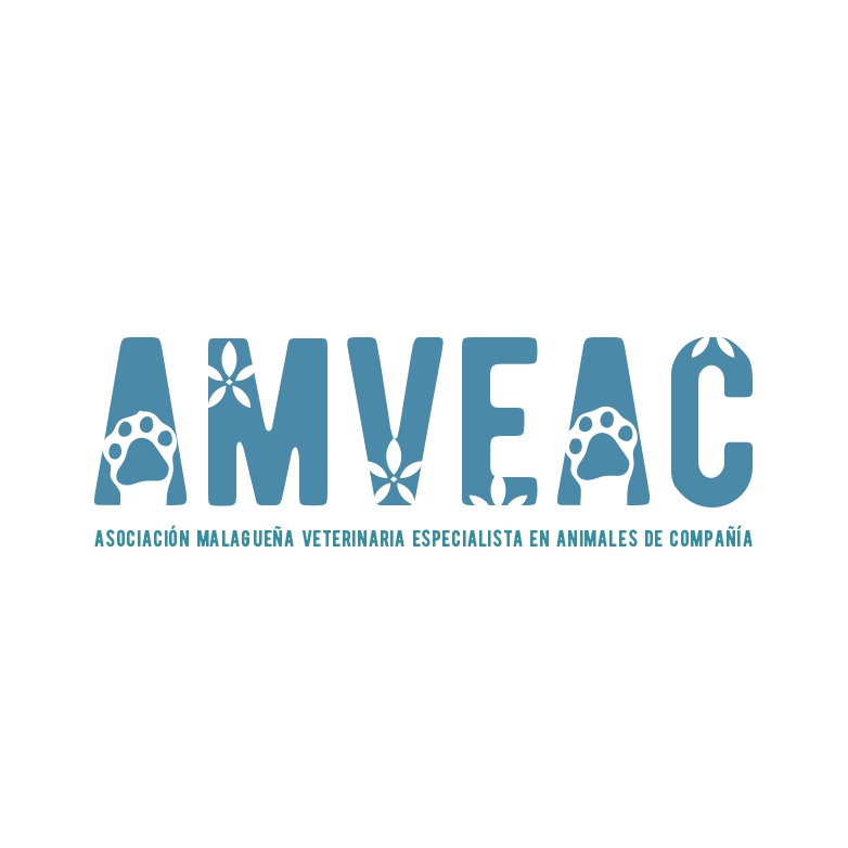 logo de amveac